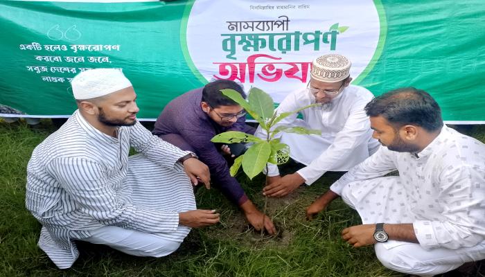 লালমাইতে শিবিরের কেন্দ্রীয় সভাপতির বৃক্ষ রোপন ও চারা বিতরণ