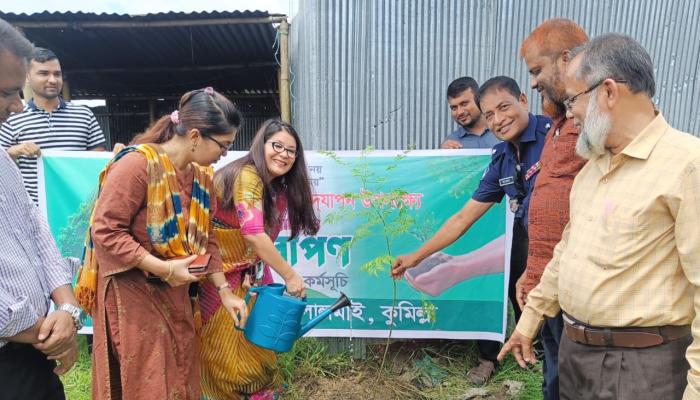 লালমাইয়ে বিশ্ব পরিবেশ দিবসে বৃক্ষরোপণ