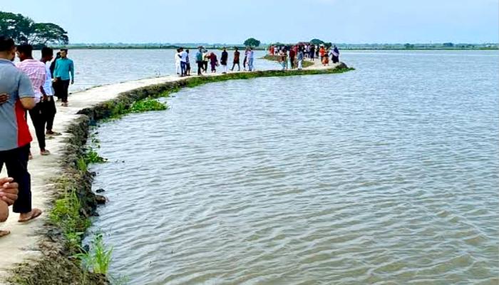 কুমিল্লার ডালপা বিল ছড়িয়ে দিয়েছে সবুজ শান্তির এক অপরূপ পরিবেশ