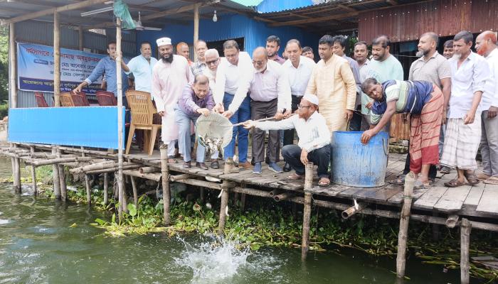 news_image
