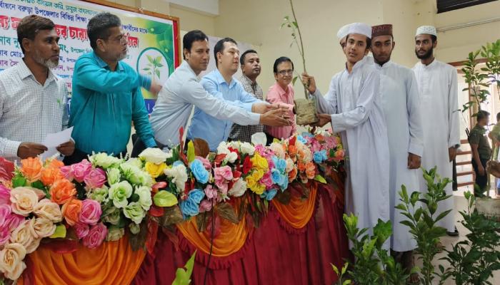বরুড়ায় কৃতি শিক্ষার্থীদের  ফলজ গাছের চারা বিতরণ