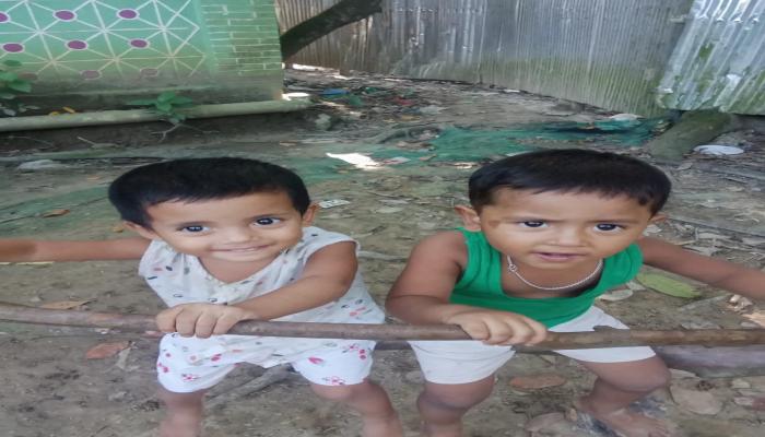 দেবিদ্বারে পানিতে ডুবে একই পরিবারের দুই শিশুর মৃত্যু