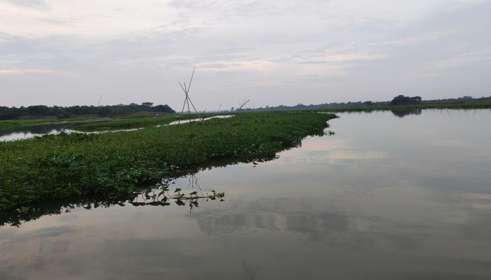 শিক্ষকের অবৈধ ঘের দিয়ে মাছ শিকার