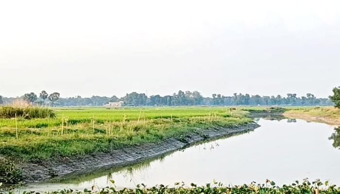 চৌদ্দগ্রামে কানাইল খাল খননের ফলে সুবিধা পাবে কৃষক প্রশংসার জোয়ারে ভাসছে উপজেলা প্রশাসন