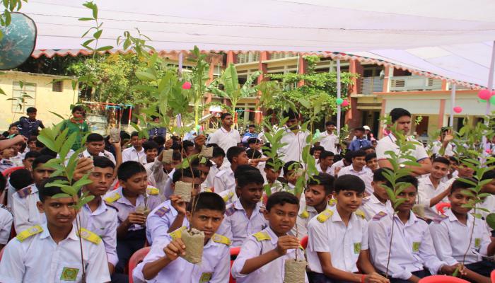 কুমিল্লায় সবুজের স্বপ্নপুরিতে টিফিনের টাকায় ৫০ হাজার গাছের চারা বিতরণ