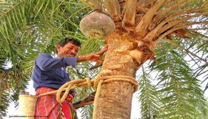 হেমন্ত প্রবাহমান নবান্নের হাতছানি