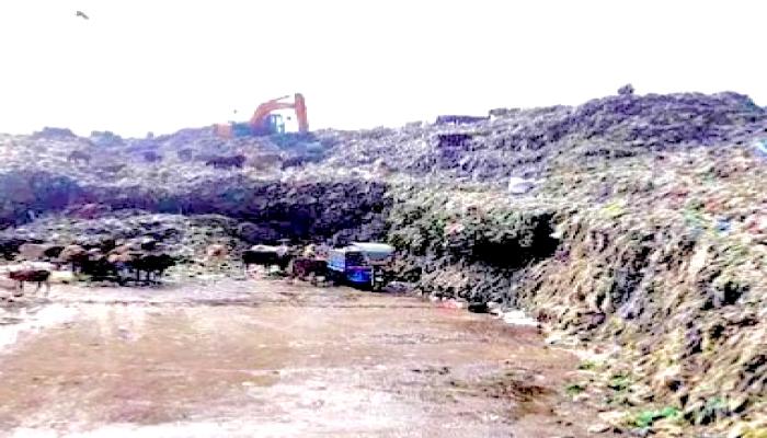 বিবিরবাজারে ভাগারজুড়ে জমে থাকে ময়লার স্তূপ, স্বাস্থ্যঝুঁকিতে এলাকাবাসী