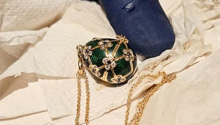 নিউজিল্যান্ডে ২৪ লাখ টাকার ‘ডিম’ গিলে যুবক কারাগারে