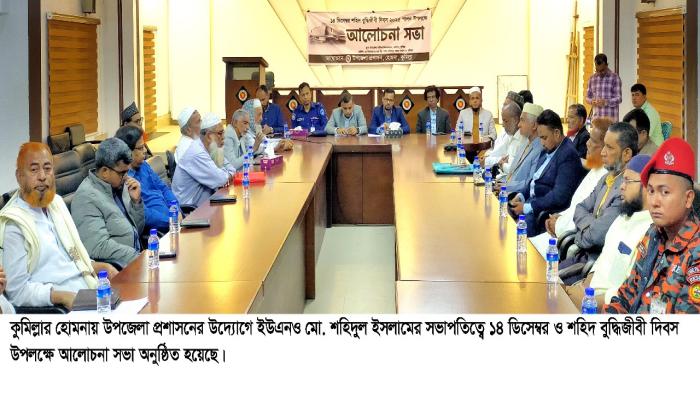 হোমনায় শহীদ   বুদ্ধিজীবী দিবস   পালিত