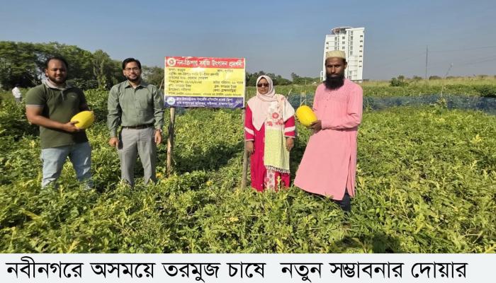 নবীনগরে অসময়ে তরমুজ   চাষে নতুন সম্ভাবনার দোয়ার