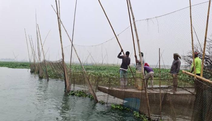 বাঞ্ছারামপুরে তিতাস নদীতে অবৈধ   মাছ শিকার, নদী আছে মাছ নেই