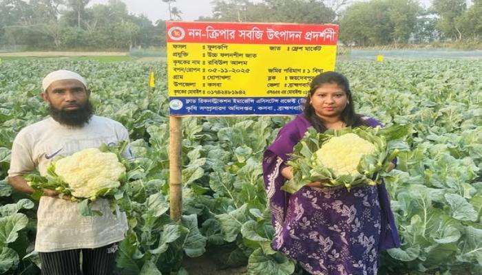 লালমাইয়ে কৃষি   উদ্যোক্তাদের দক্ষতা   উন্নয়ন প্রশিক্ষণ