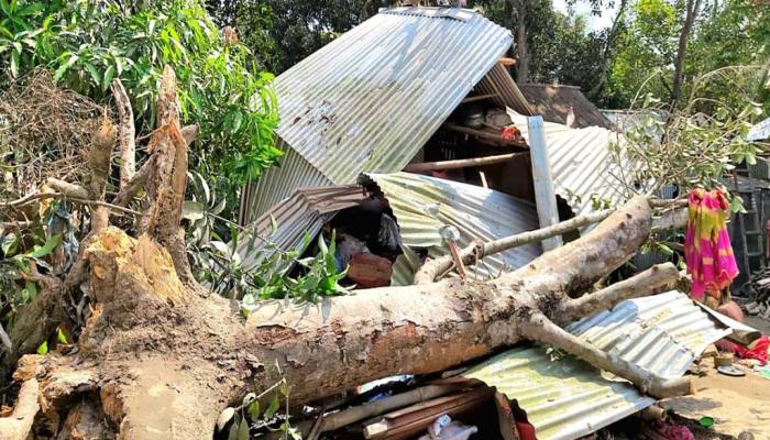 কুমিল্লায় কালবৈশাখী ঝড়ে ঘরের ওপর গাছ পড়ে নারীর মৃত্যু