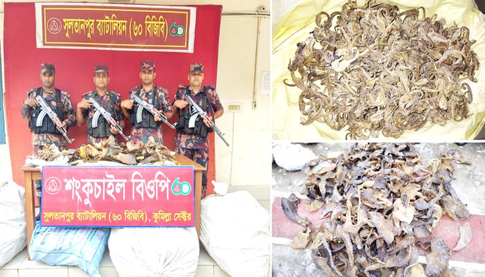 সীমান্তে বিজিবির অভিযানে বিপুল পরিমাণ   হাঙ্গরের শুটকি ও সী-হর্স জব্দ