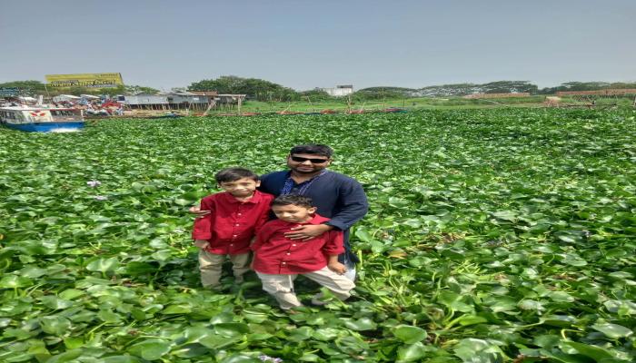 মেঘনা নদীতে কচুরিপানার জট।দুর্ভোগে ১০ উপজেলার মানুষ।