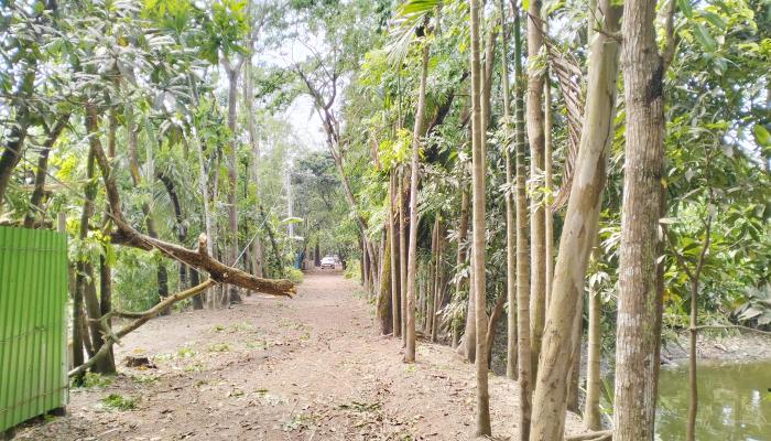 ঝড়ে লন্ডভন্ড মনোহরগঞ্জ উপজেলা  বিদ্যুৎবিহীন অর্ধ লক্ষাধিক মানুষ