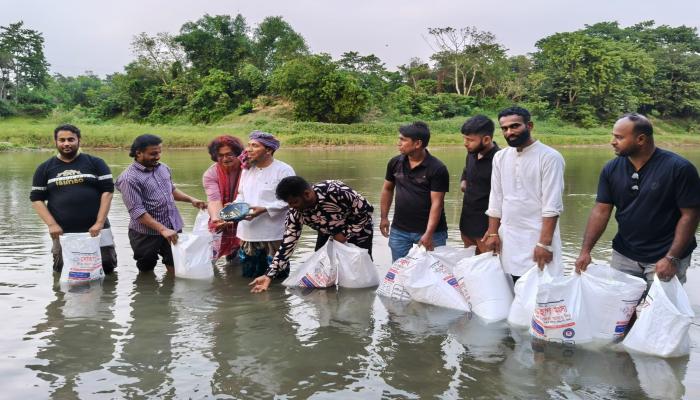 কুমিল্লা গোমতী নদীতে ২০ হাজার মাছের পোনা অবমুক্ত