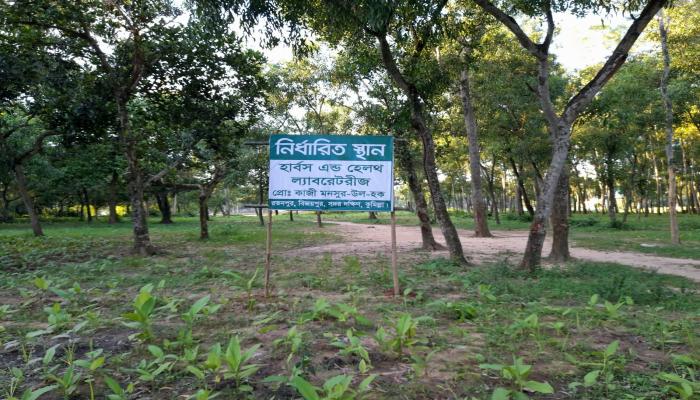 পাওয়ার অব অ্যাটর্নি বাতিলের বিজ্ঞপ্তির আড়ালে কাজী মুনসুর উল হককে মানহানির অপচেষ্টা
