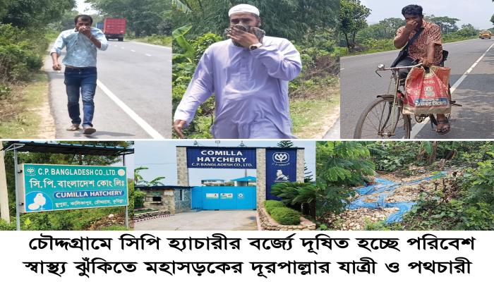চৌদ্দগ্রামে হ্যাচারীর  বর্জ্যে দূষিত হচ্ছে পরিবেশ