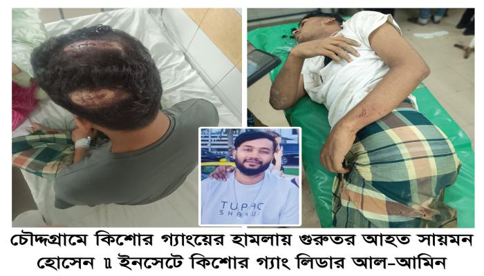 শশুড় বাড়িতে হামলা চালিয়ে নববধূকে অপহরণের চেষ্টা