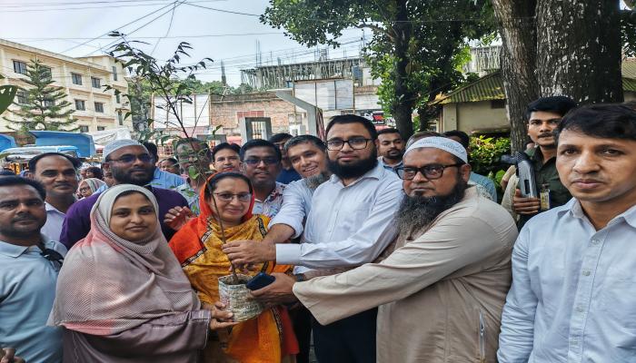 বাঞ্ছারামপুরে দেড় হাজার বৃক্ষ দেয়া   হলো বিভিন্ন শিক্ষা প্রতিষ্ঠানকে