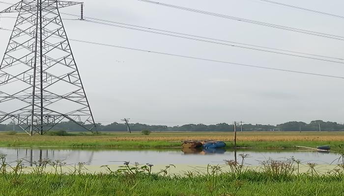 বুড়িচংয়ে অবৈধ মাটি কাটার ফলে টাওয়ার ধসে পড়ার ঝুঁকি