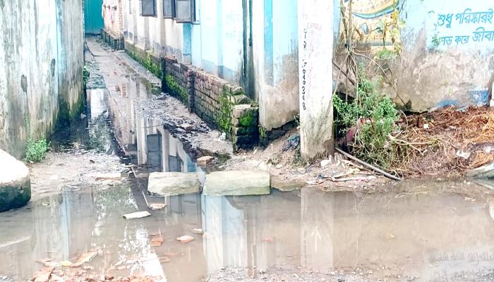 চৌদ্দগ্রামে কৃত্রিম জলাবদ্ধতায়   ২০০ পরিবারের ভোগান্তি