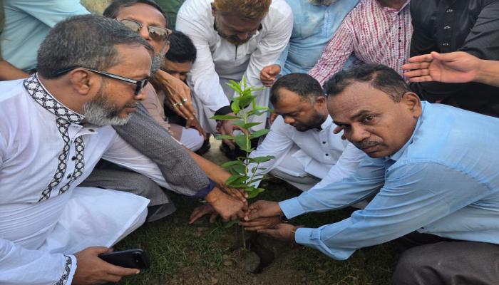 কুমিল্লায় কৃষকদলের ৮ লাখ বৃক্ষরোপণ কর্মসূচির উদ্বোধন