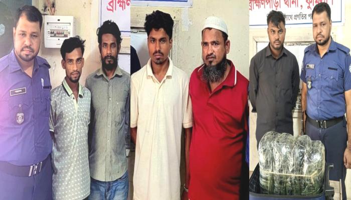 ব্রাহ্মণপাড়ায় মাদক কারবারিসহ ৫ জন গ্রেপ্তার, ৮ কেজি গাঁজা উদ্ধার