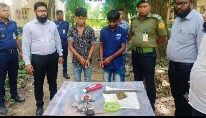 চৌদ্দগ্রামে গাঁজা সেবন , ভ্রাম্যমান আদালতের অভিযানে ২ যুবককে কারাদন্ড প্রদান