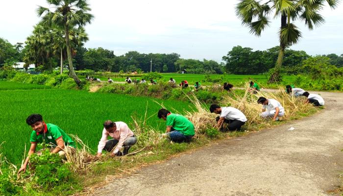 বজ্রপাত রোধে কুমিল্লায় ৫ হাজার তালবীজ রোপণ কর্মসূচি