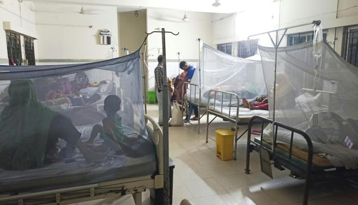 ব্রাহ্মণপাড়ায় বাড়ছে ডেঙ্গুর প্রকোপ, ২৩ দিনে আক্রান্ত ৩৯