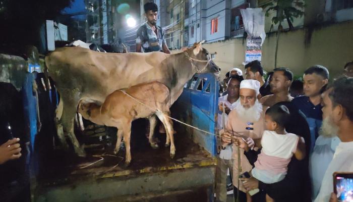 News Image