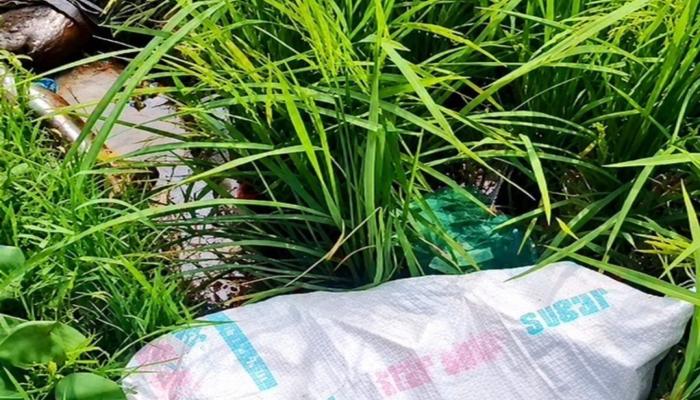 নিখোঁজের ১০ দিন পর ধানক্ষেতে মিললো যুবকের মরদেহ