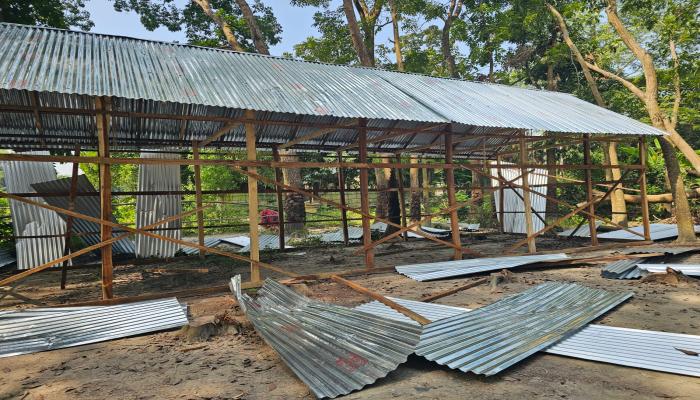 দেবিদ্বারে বাগানের ৬০ গাছ কেটে  জমিতে ঘর তুলে নিল প্রতিপক্ষরা