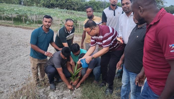 লালমাইয়ে বাংলাদেশ জাতীয়তাবাদী যুবদলের ৪৮তম প্রতিষ্ঠাবার্ষিকী উপলক্ষে বৃক্ষরোপন